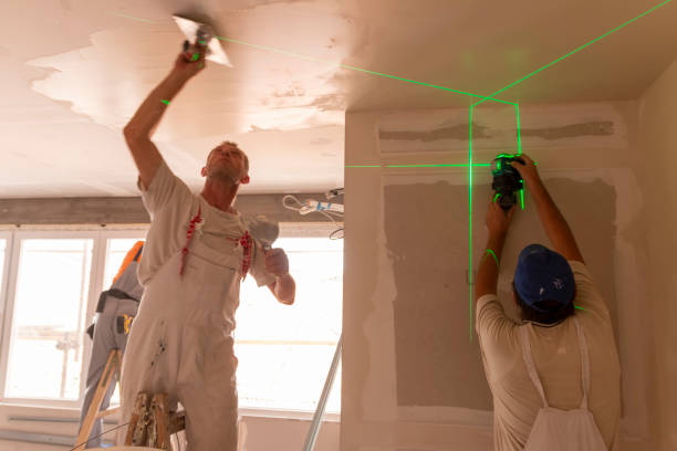  Rosewood Heights, IL Drywall & Painting Services Pros